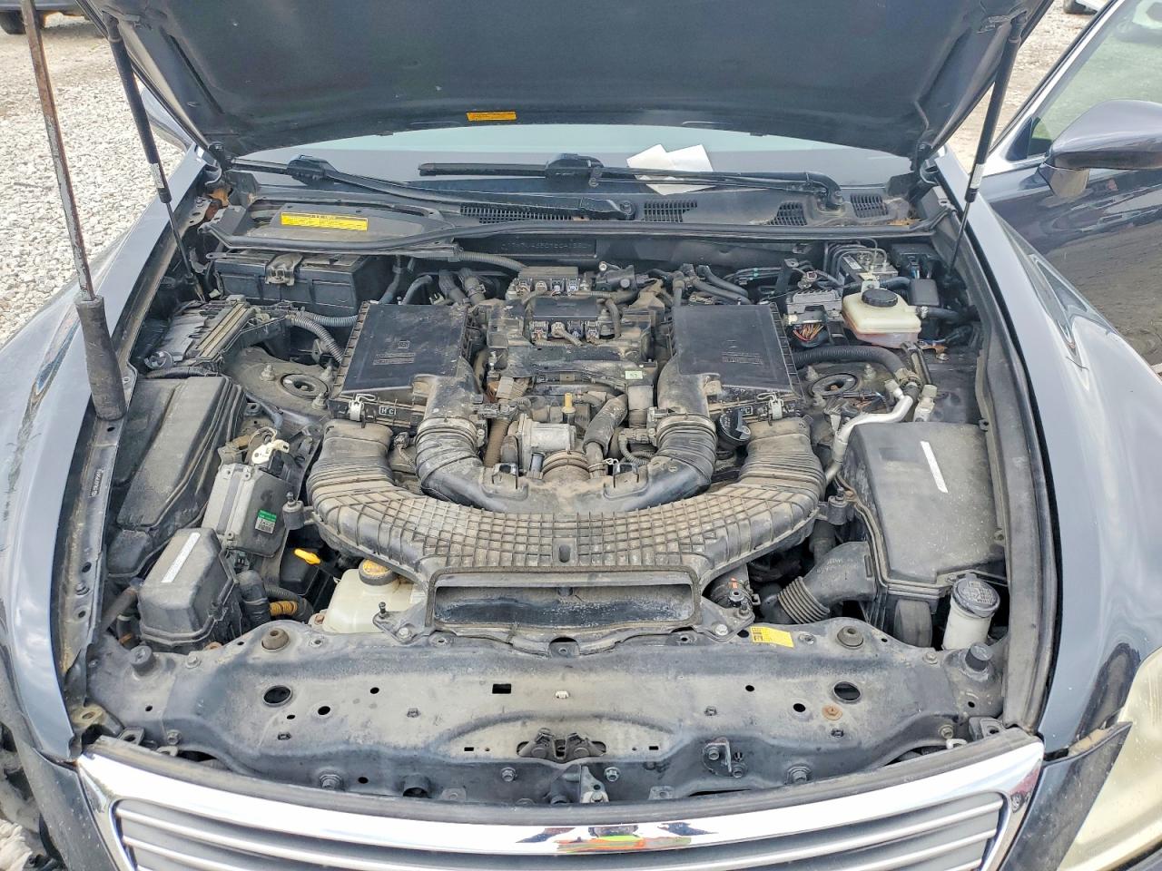 2007 LEXUS LS 460 photo 21