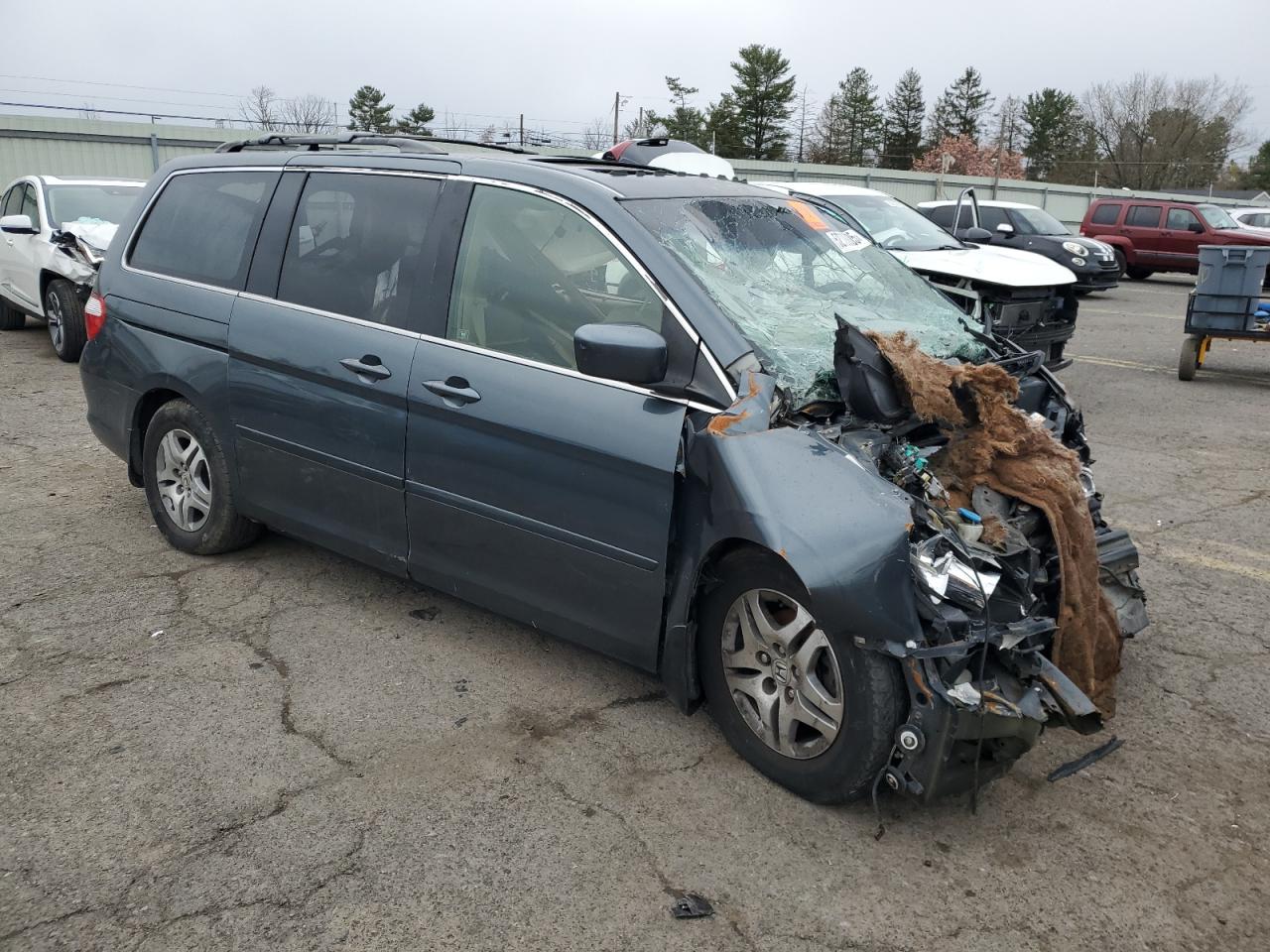 2005 HONDA ODYSSEY EXL photo 7