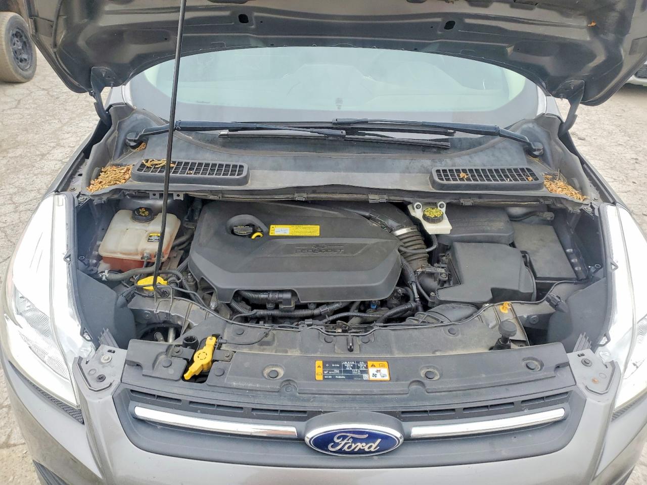 2013 FORD ESCAPE SE photo 34