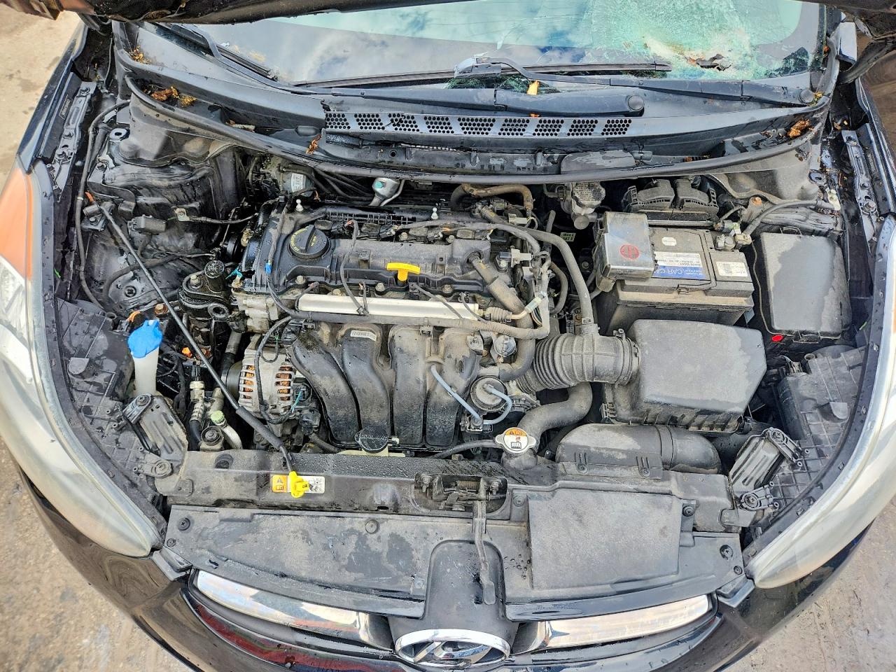 2013 HYUNDAI ELANTRA LIMITED photo 11
