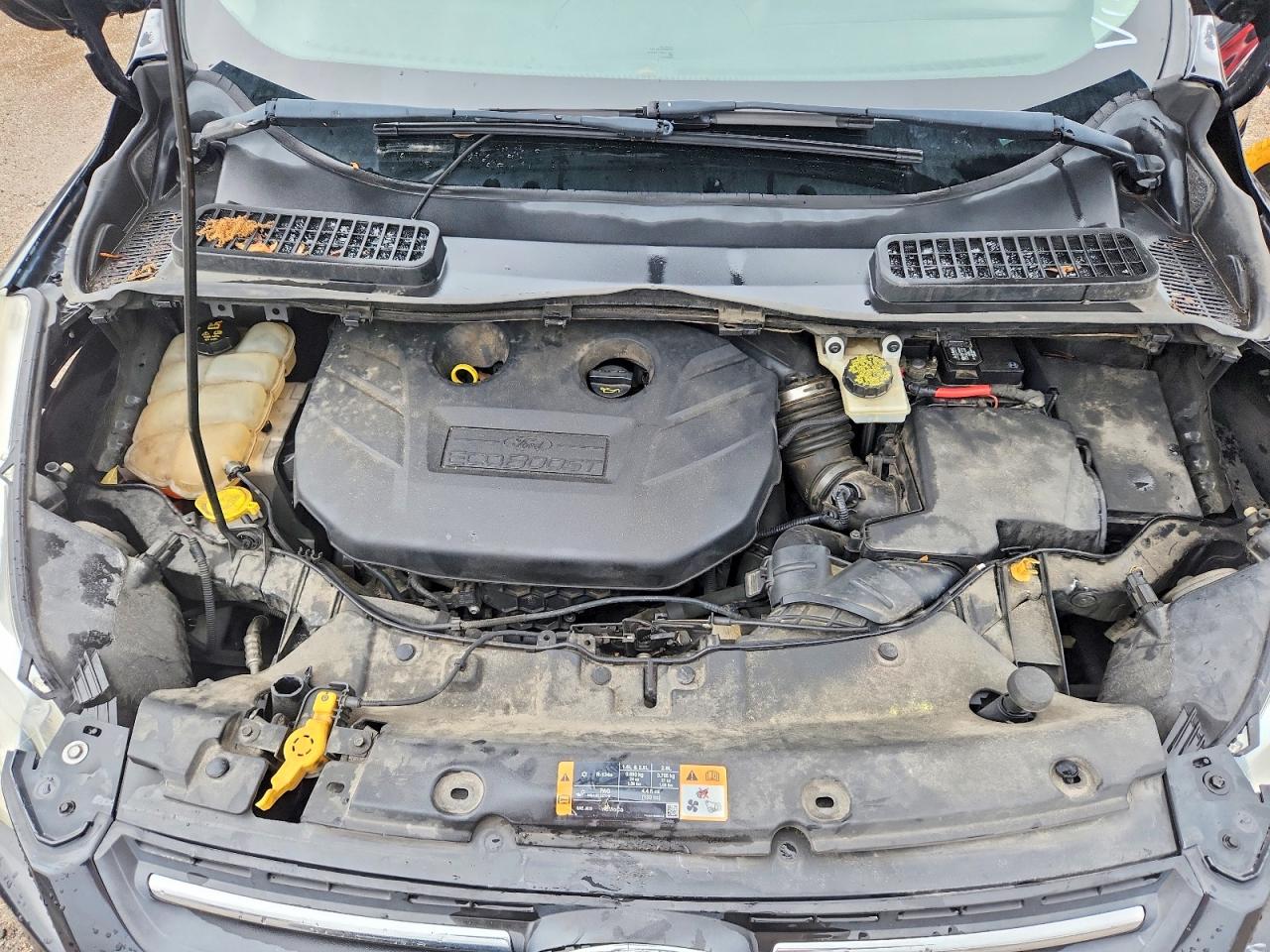 2014 FORD ESCAPE SE photo 23