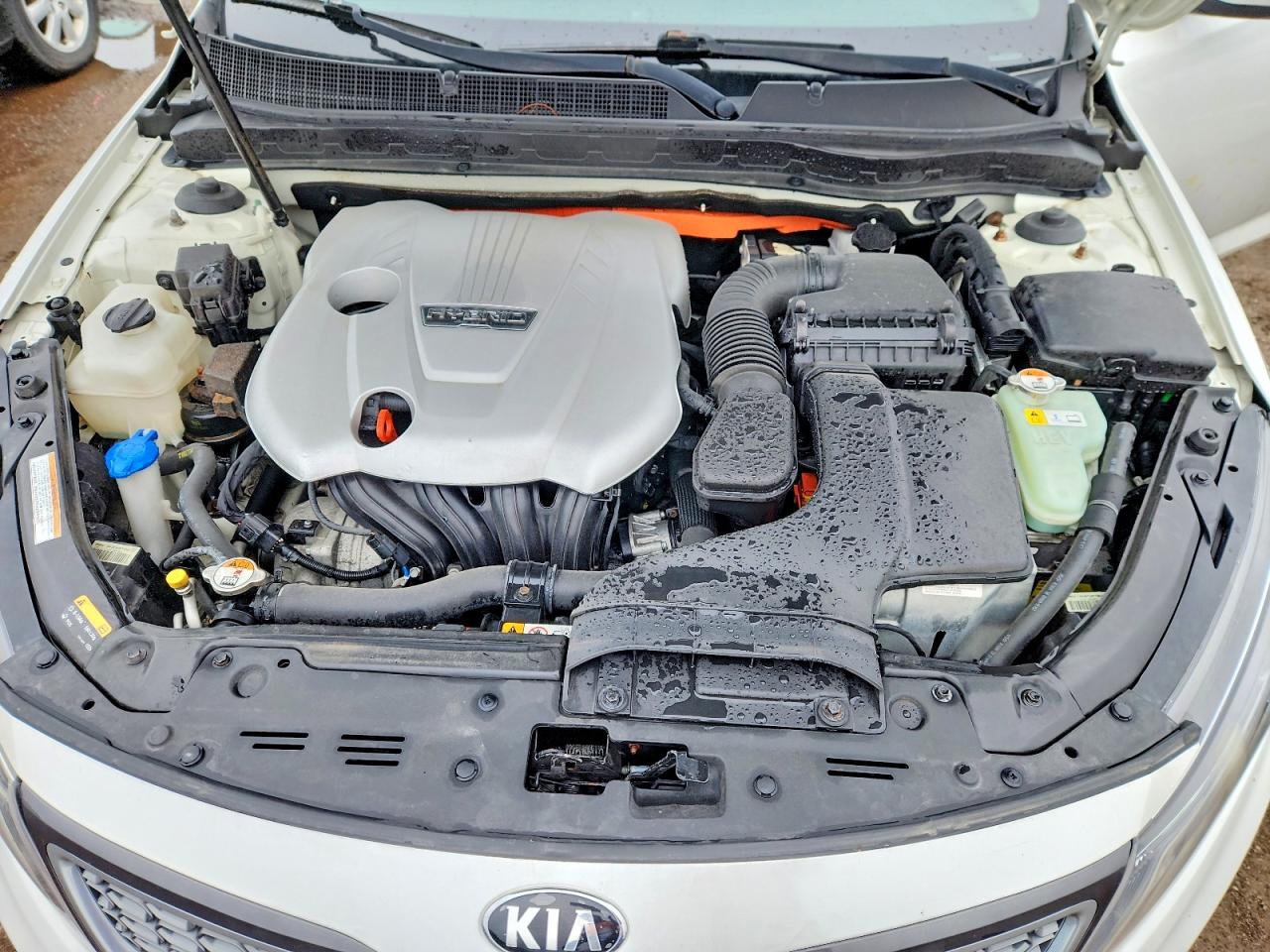2014 KIA OPTIMA HYBRID photo 11