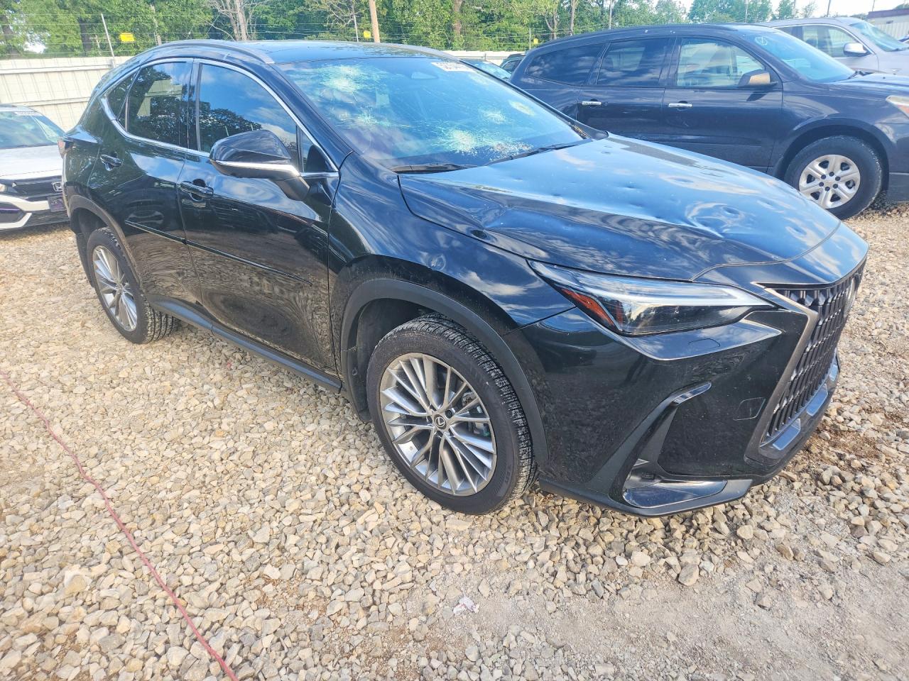 2024 LEXUS NX 350 LUXURY photo 7