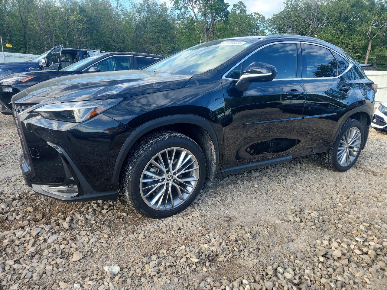 2024 LEXUS NX