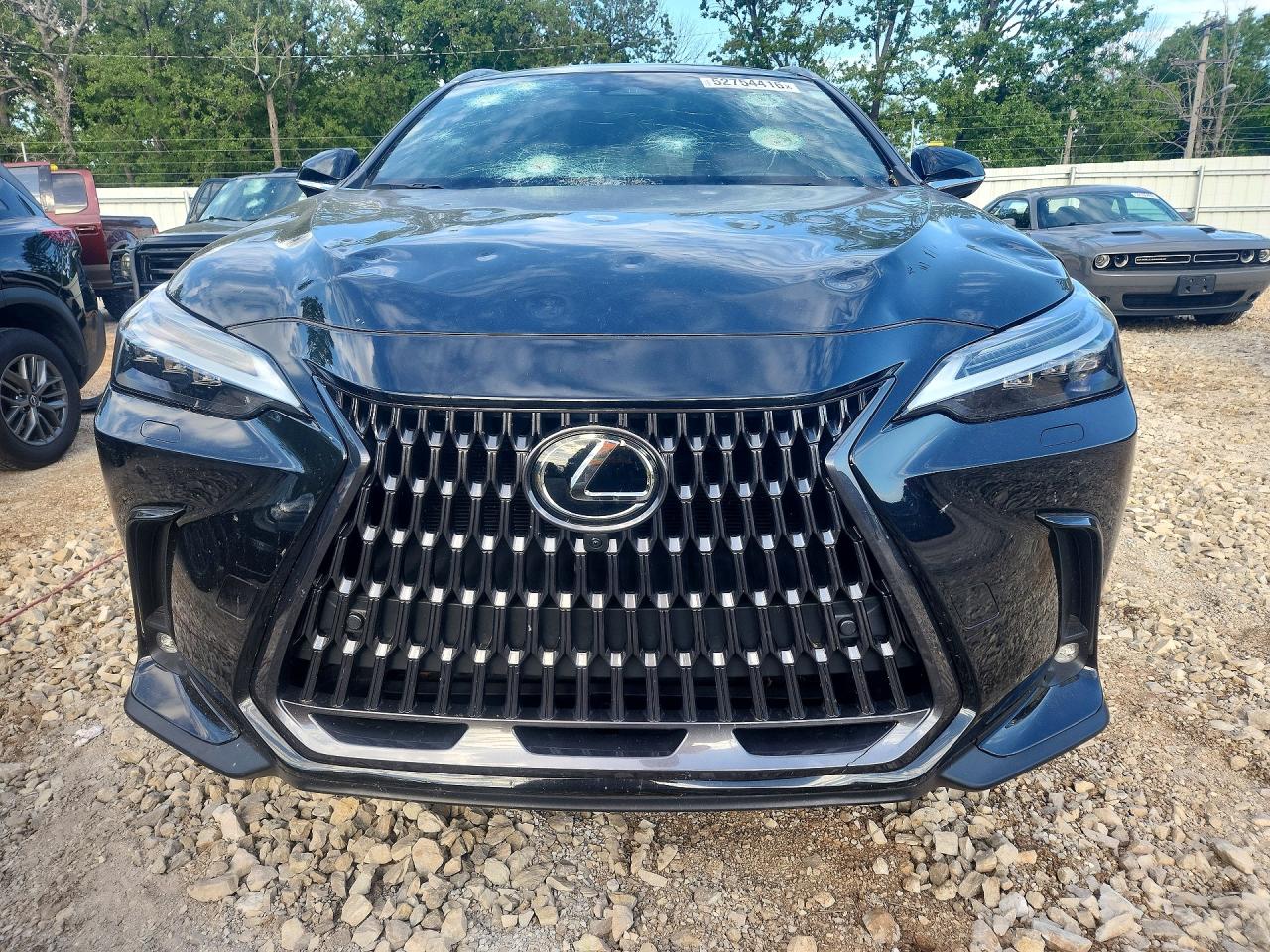 2024 LEXUS NX 350 LUXURY photo 9