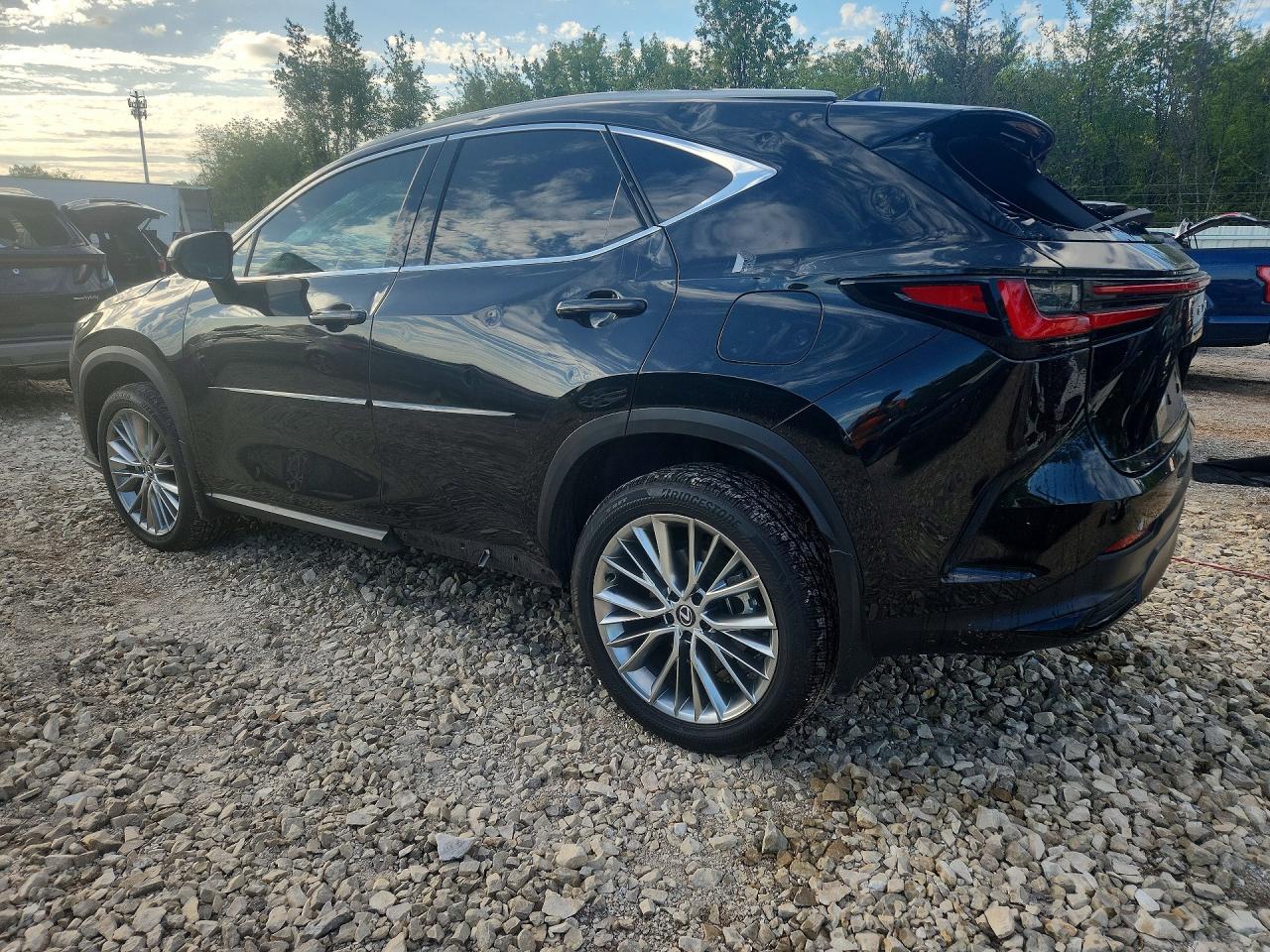 2024 LEXUS NX 350 LUXURY photo 3
