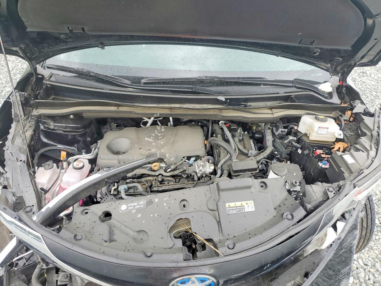 2025 TOYOTA SIENNA XLE 8-PASSENGER photo 34