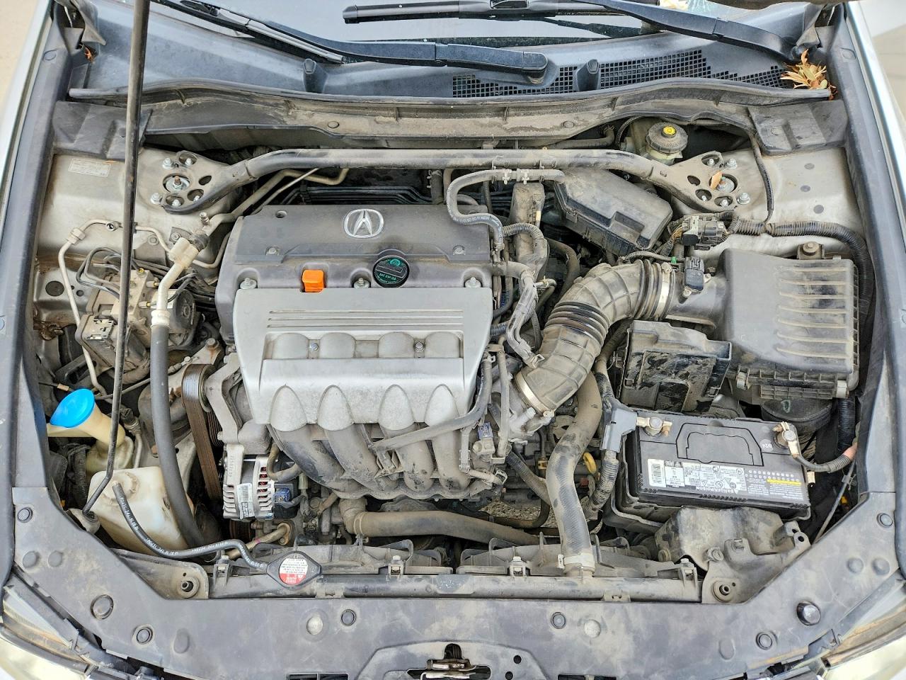 2010 ACURA TSX photo 11