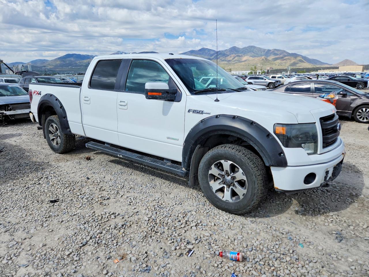 2013 FORD F150 SUPERCREW photo 10