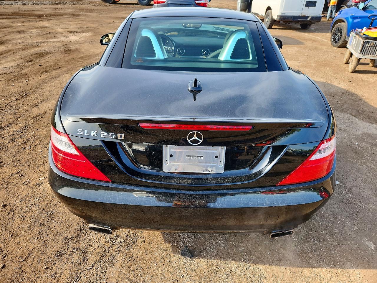 2013 MERCEDES-BENZ SLK 250 photo 11