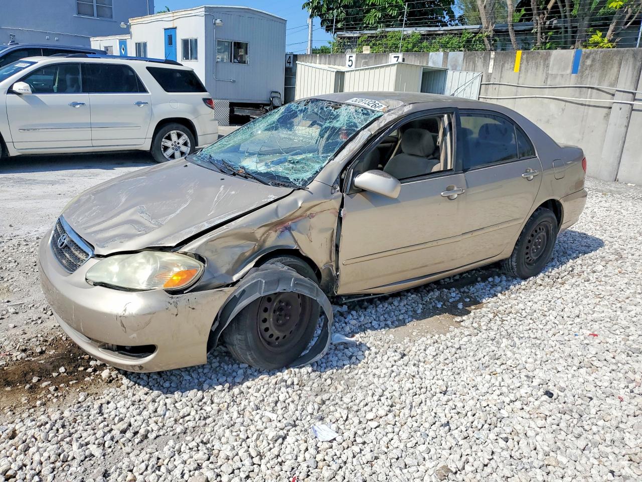 2006 TOYOTA COROLLA