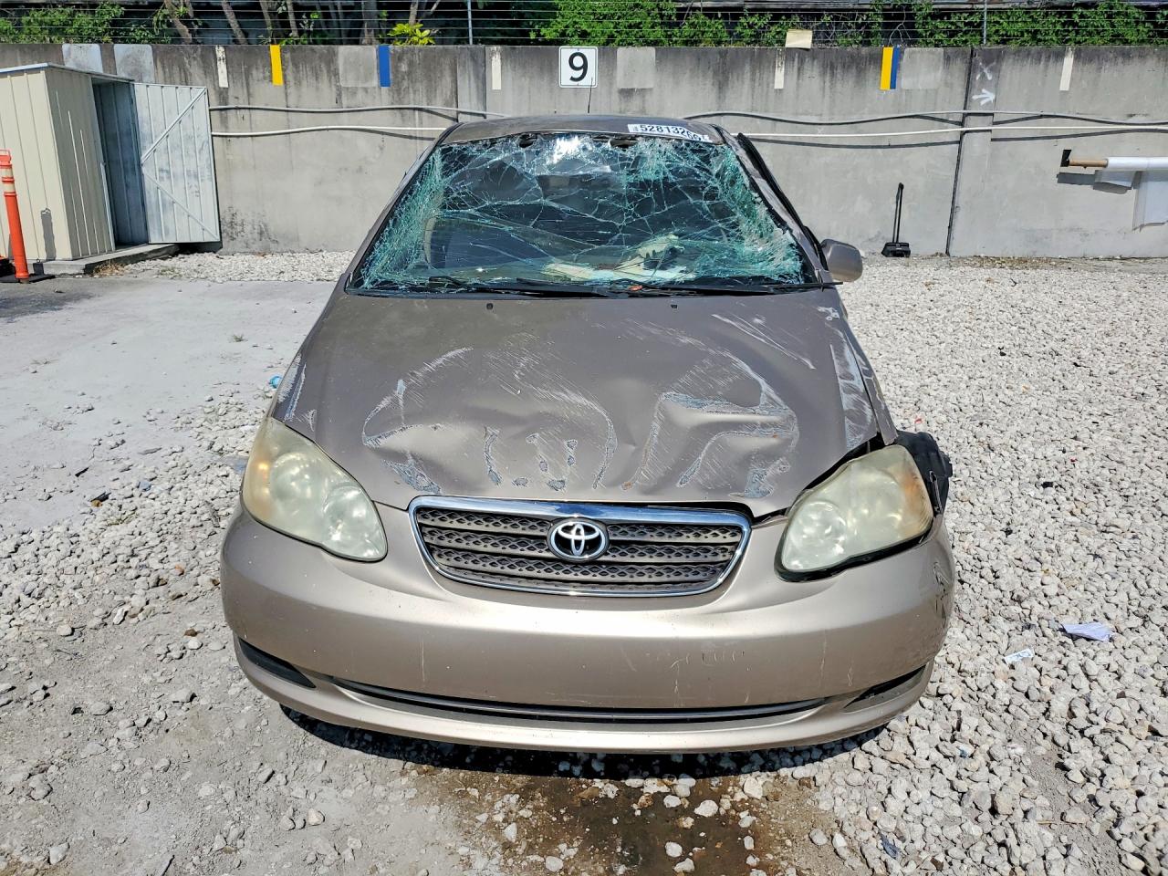 2006 TOYOTA COROLLA LE photo 9