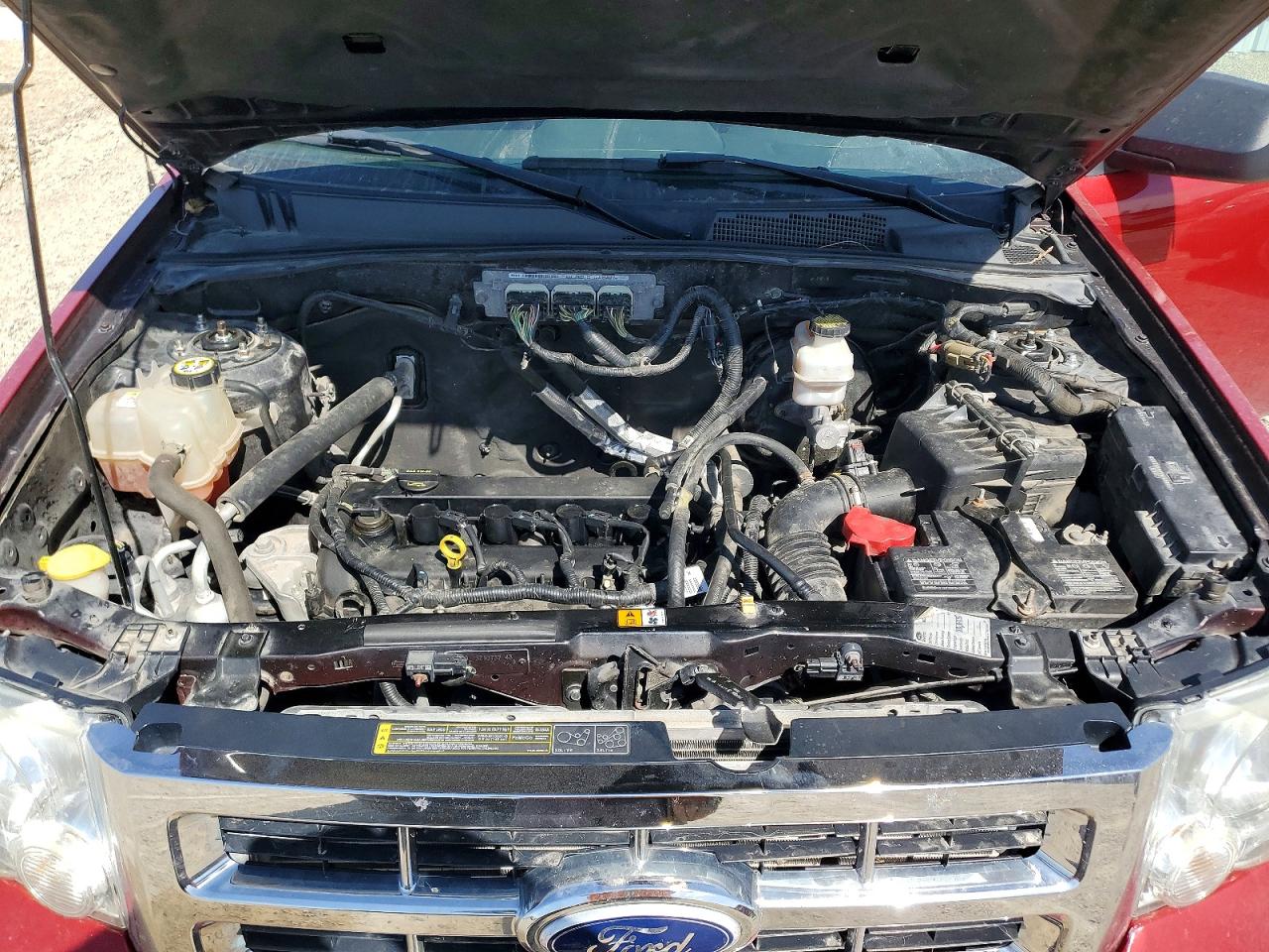 2010 FORD ESCAPE XLT photo 12