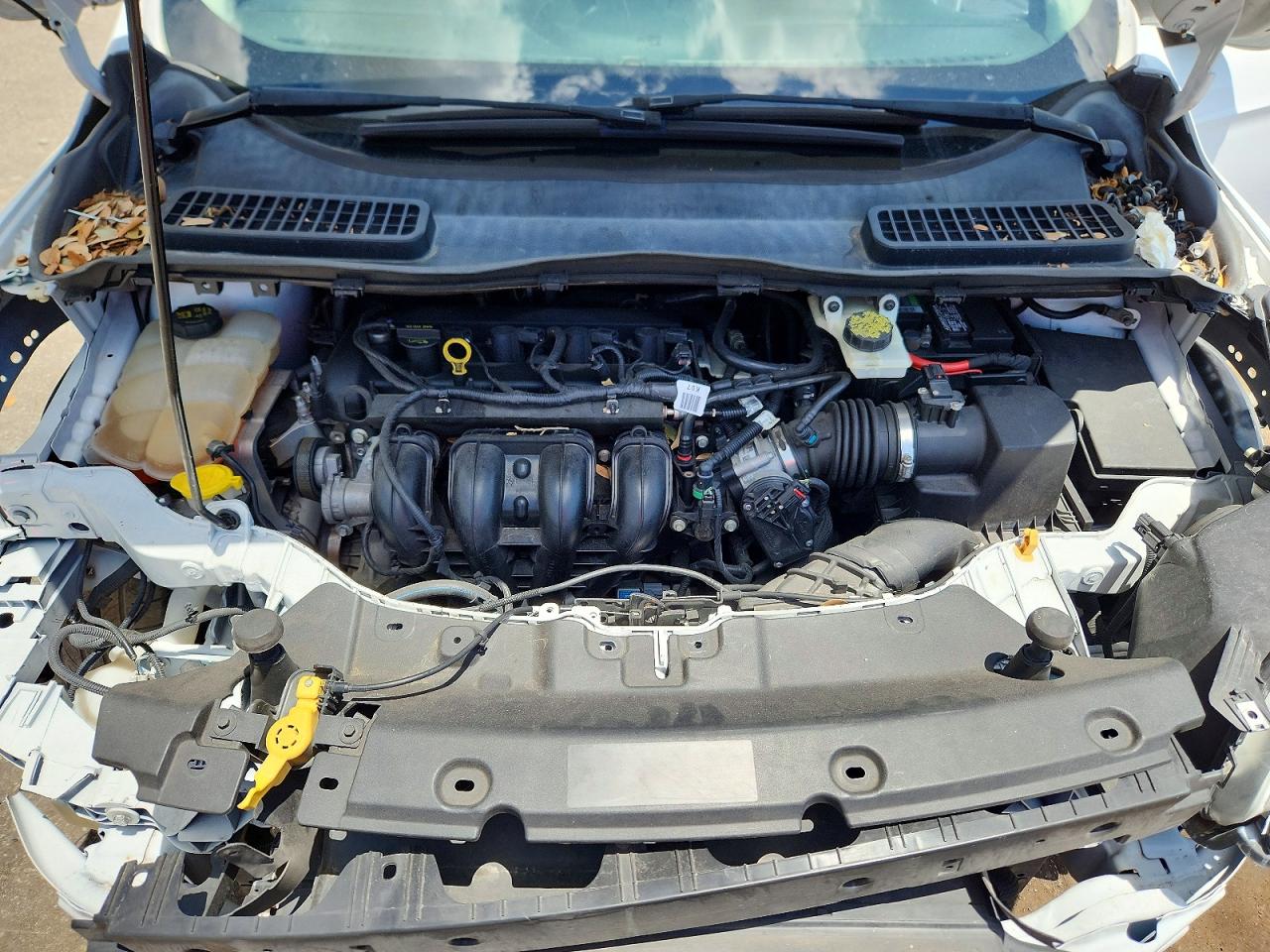 2014 FORD ESCAPE S photo 23