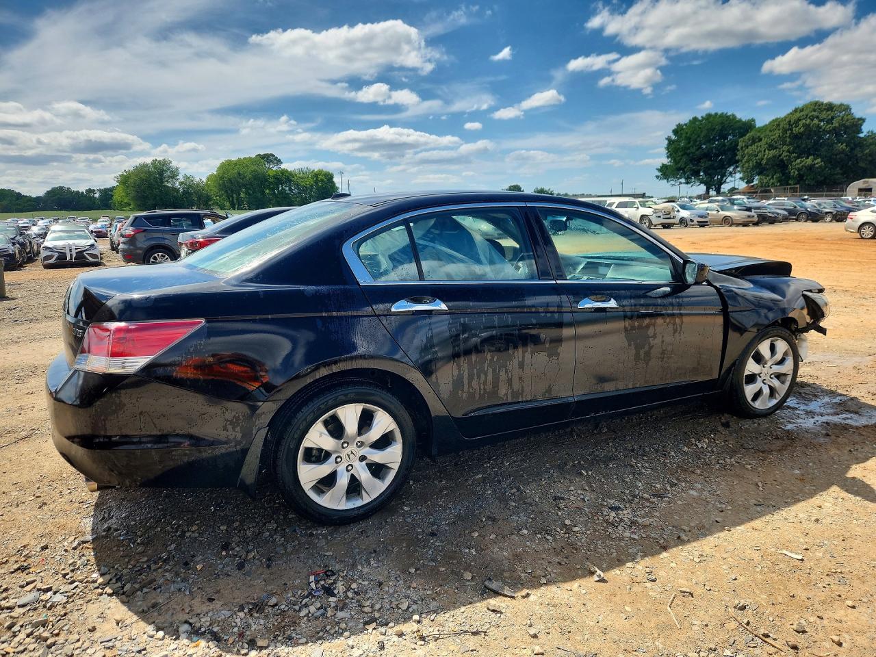 2010 HONDA ACCORD EXL photo 3