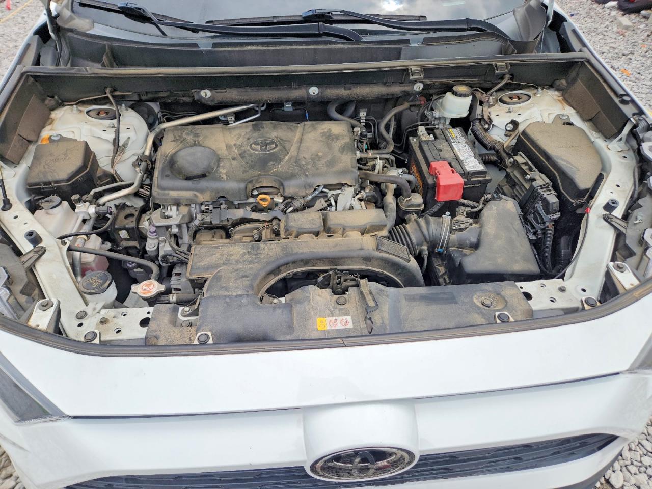 2019 TOYOTA RAV4 LE photo 34