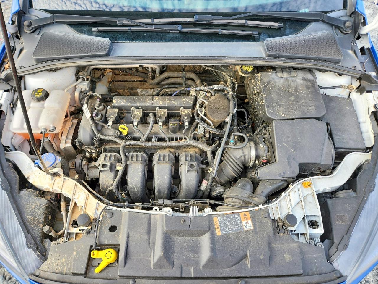 2015 FORD FOCUS SE photo 11