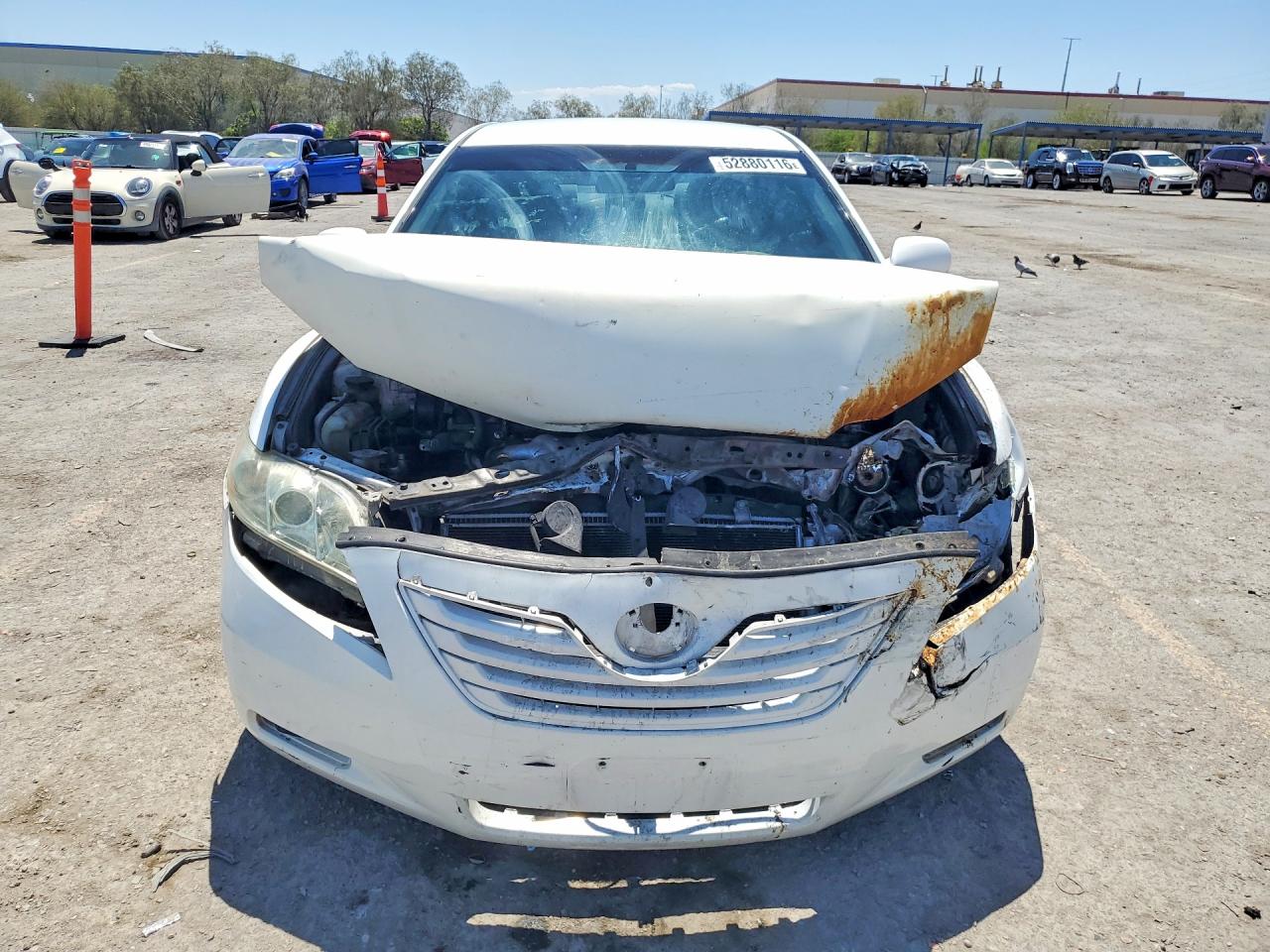 2009 TOYOTA CAMRY LE photo 5