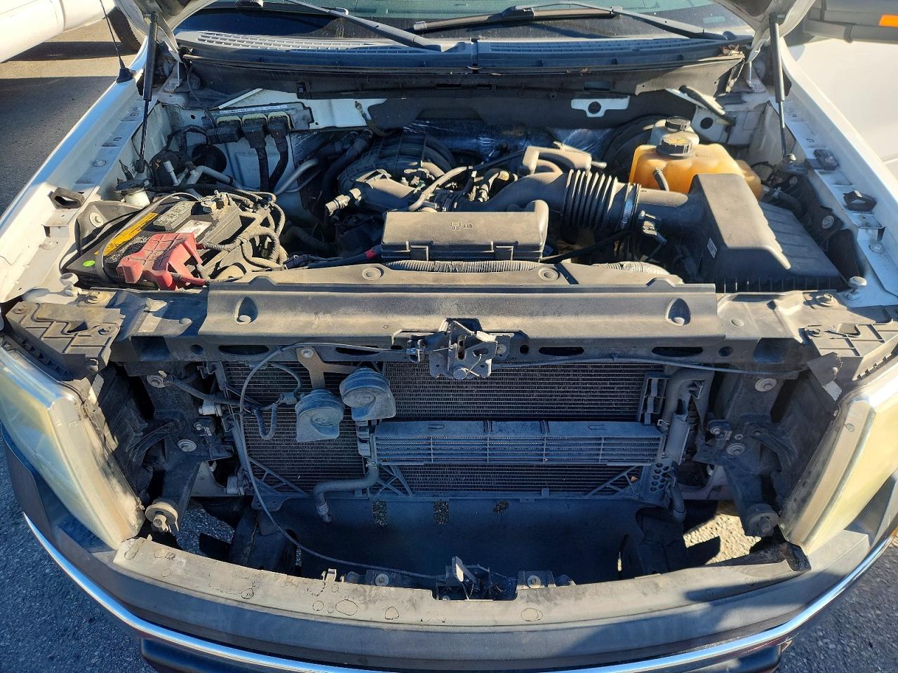 2013 FORD F150 photo 11