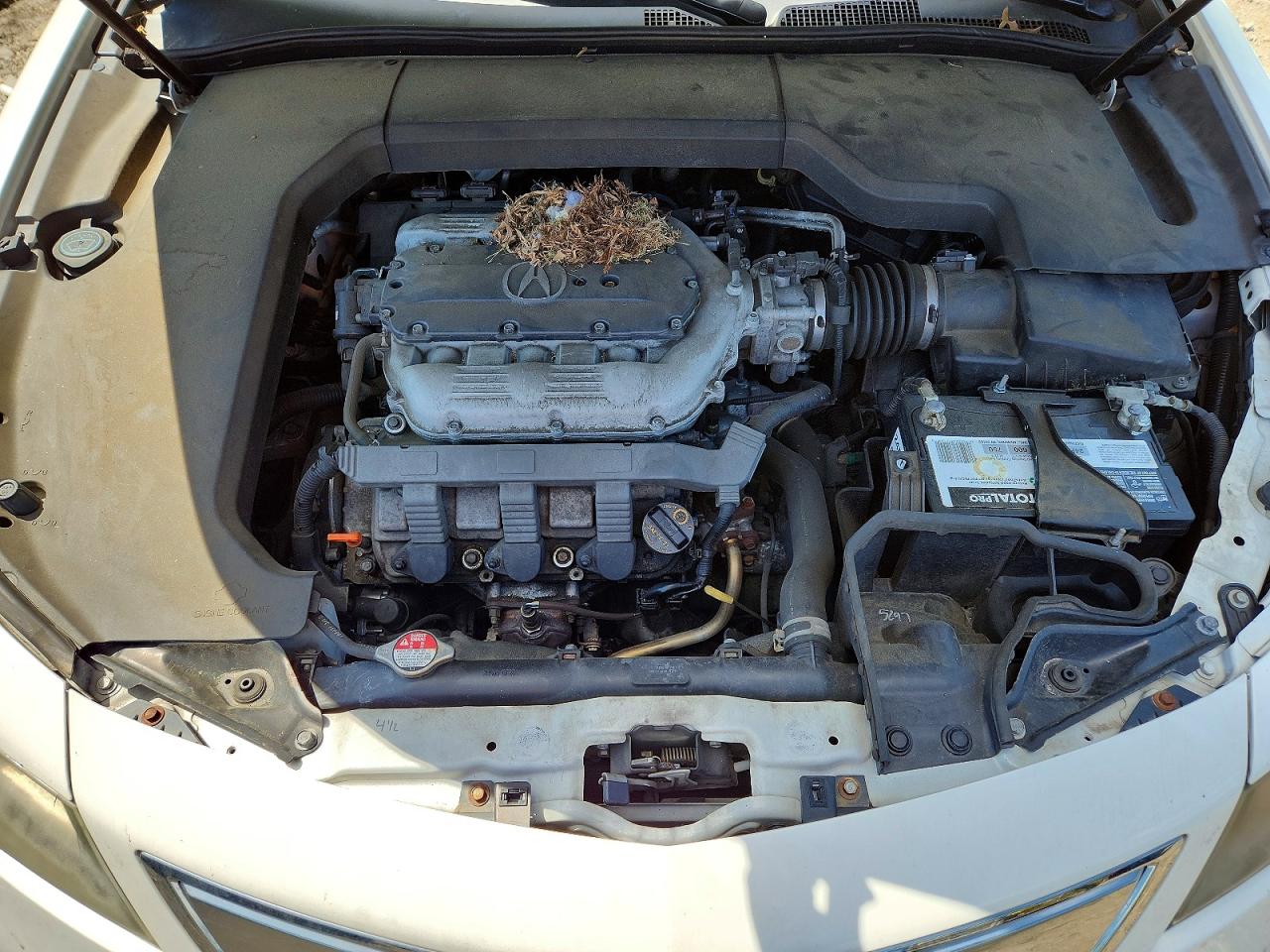 2013 ACURA TL photo 21