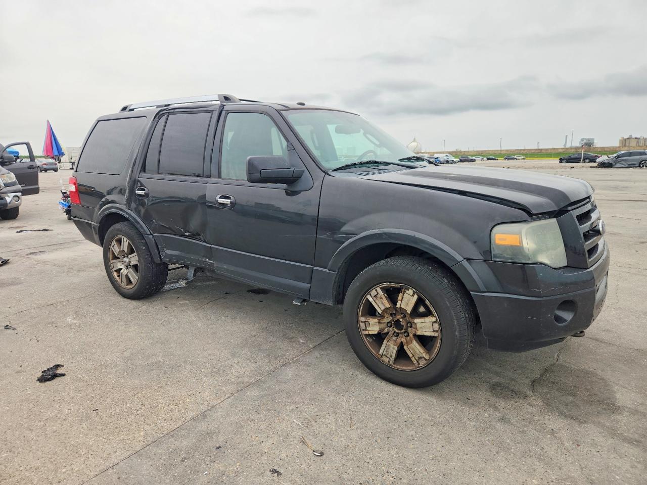 2010 FORD EXPEDITION LIMITED photo 10