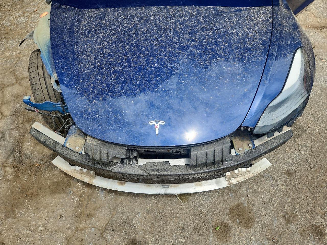 2021 TESLA MODEL 3 photo 21