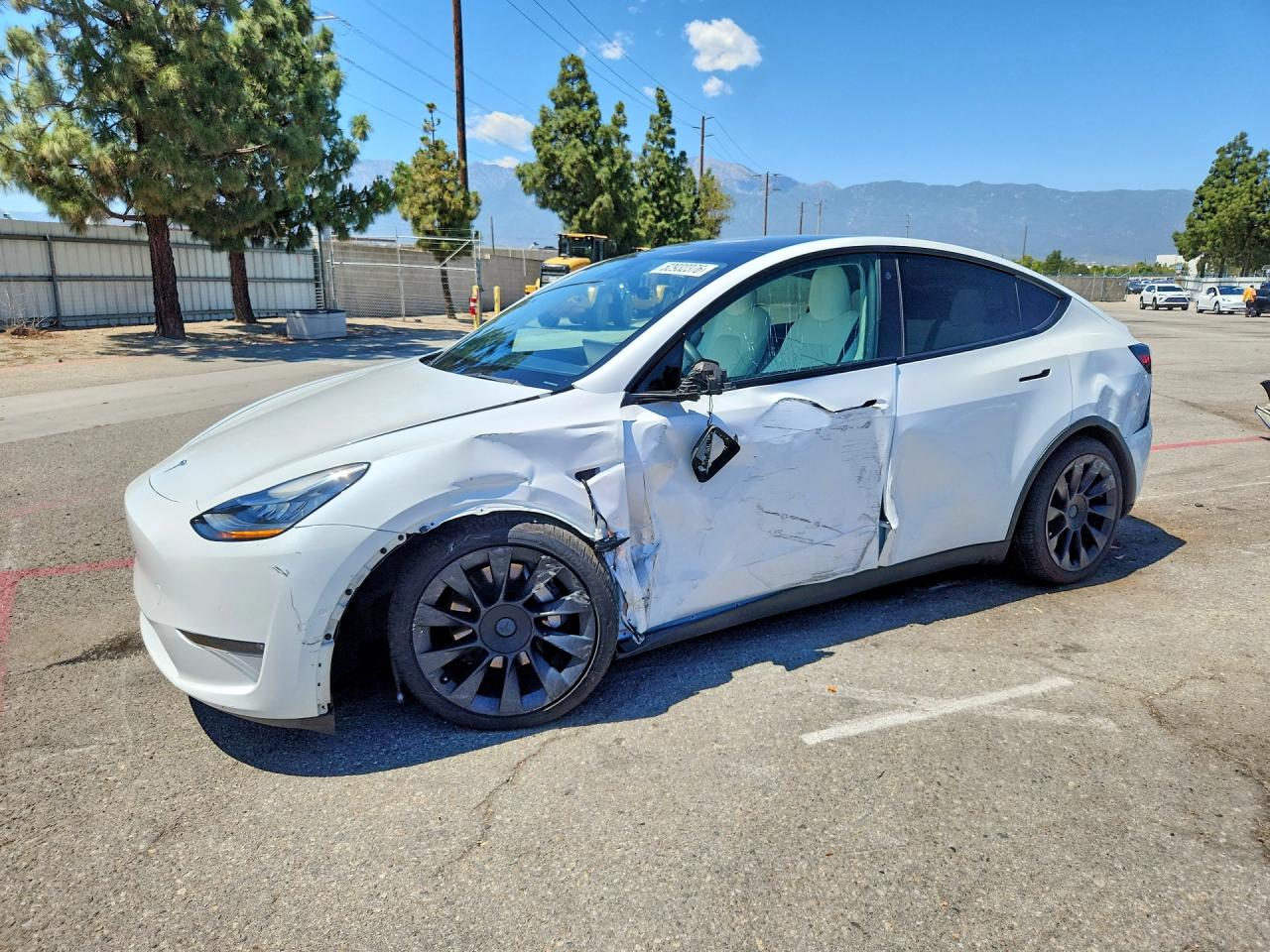 2021 TESLA MODEL Y
