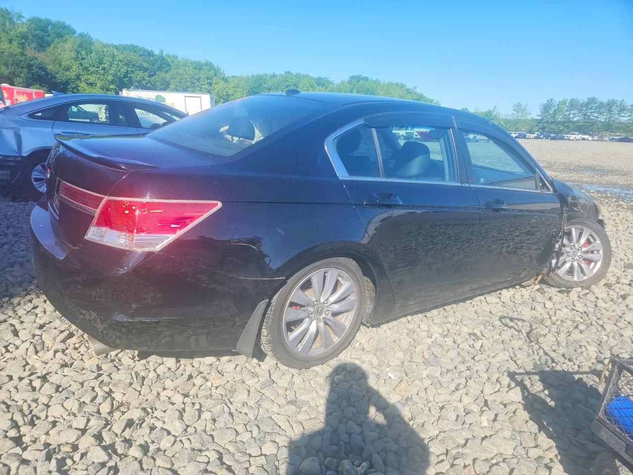 2011 HONDA ACCORD EXL photo 5