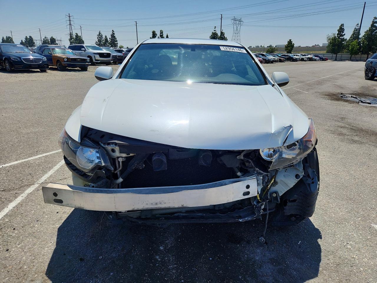 2013 ACURA TSX SE photo 9