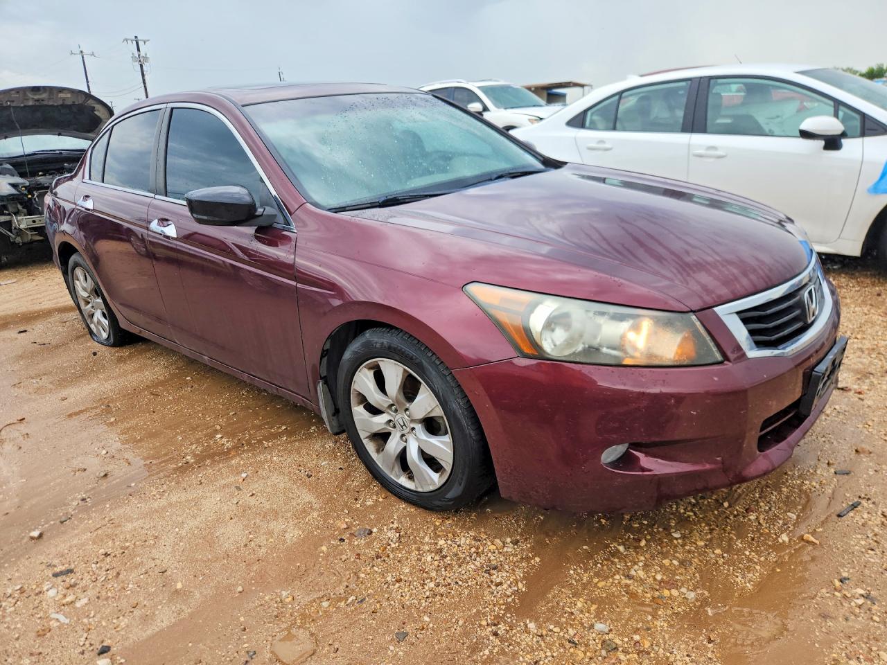 2009 HONDA ACCORD EXL photo 7