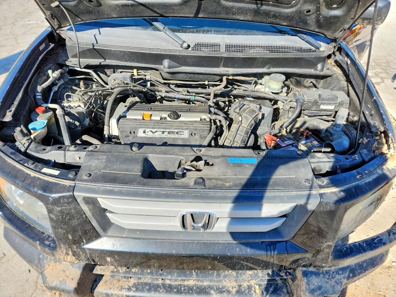2007 HONDA ELEMENT EX photo 12