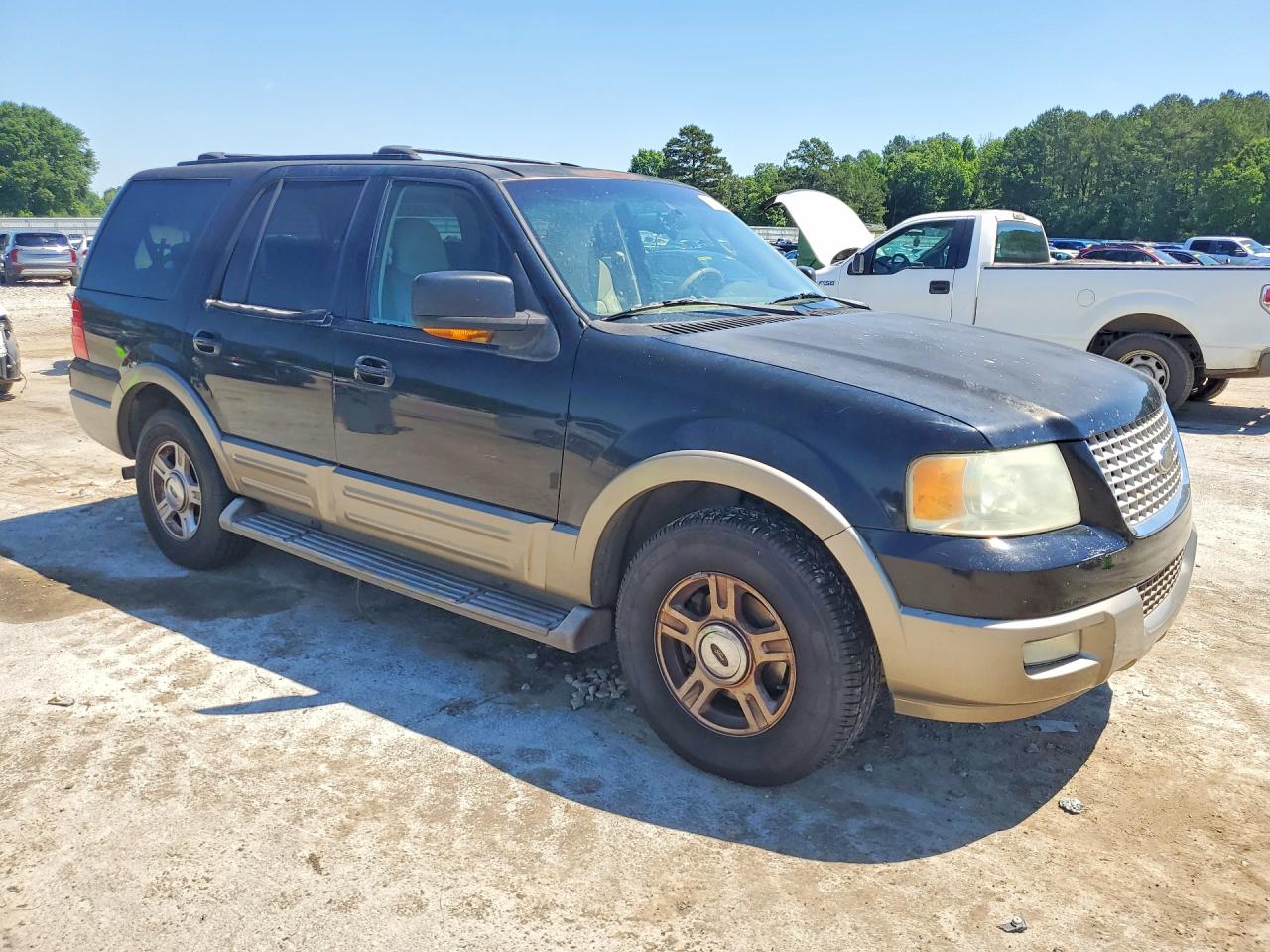 2004 FORD EXPEDITION EDDIE BAUER photo 10