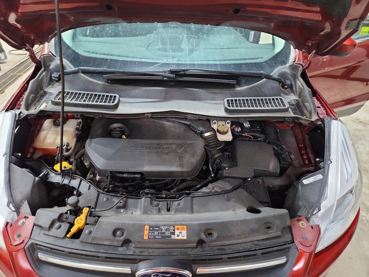 2014 FORD ESCAPE SE photo 12