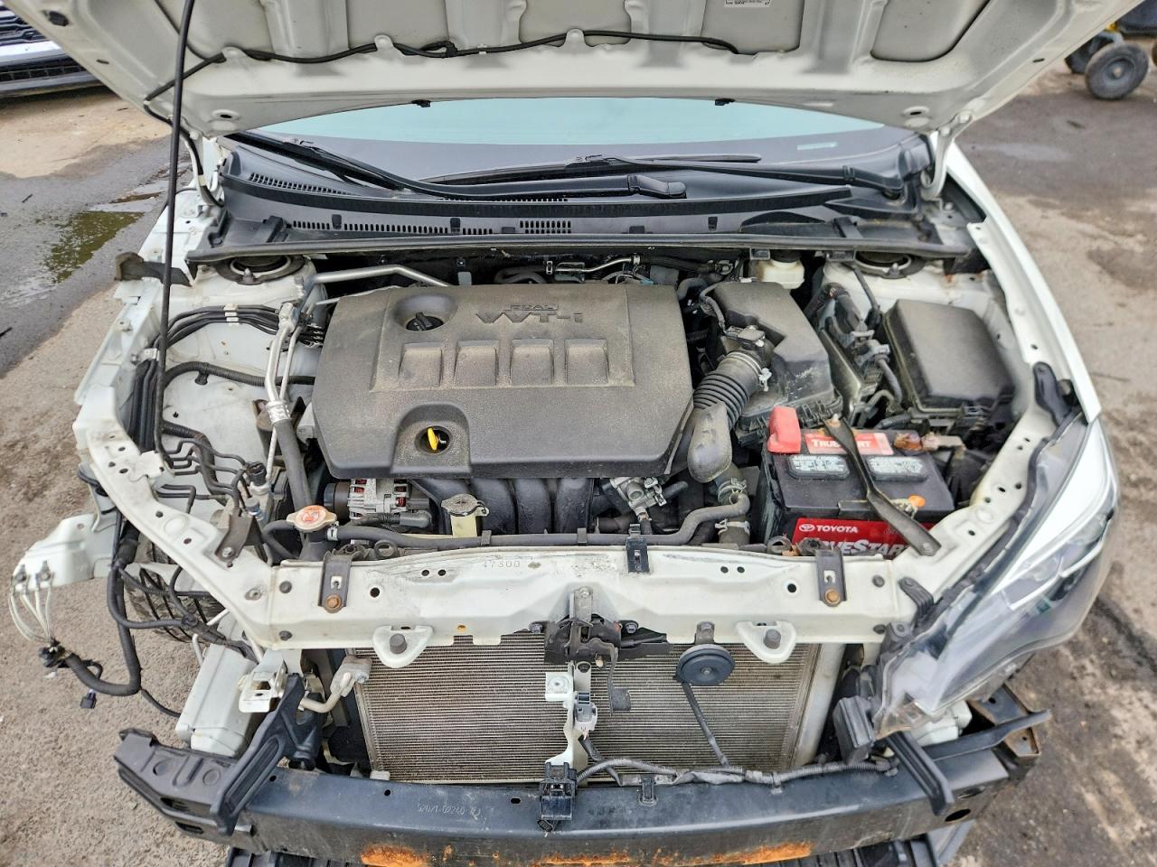 2019 TOYOTA COROLLA XLE photo 11