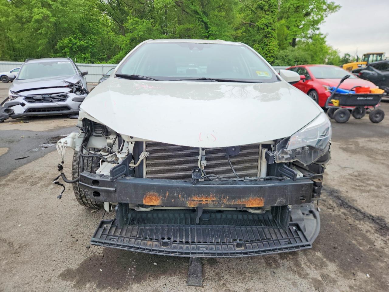 2019 TOYOTA COROLLA XLE photo 5