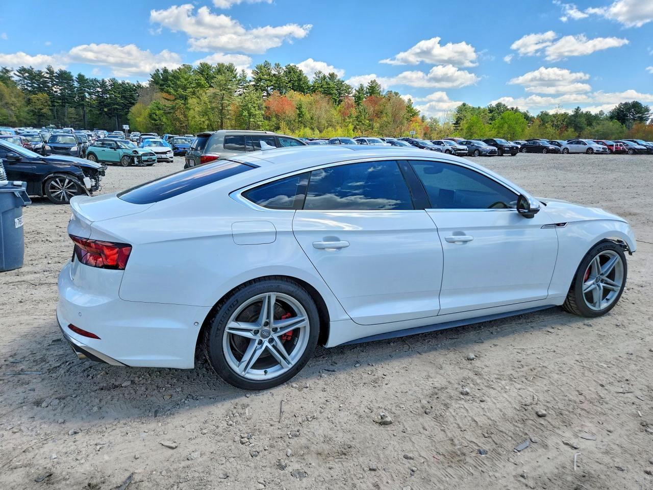 2019 AUDI S5 PRESTIGE photo 5