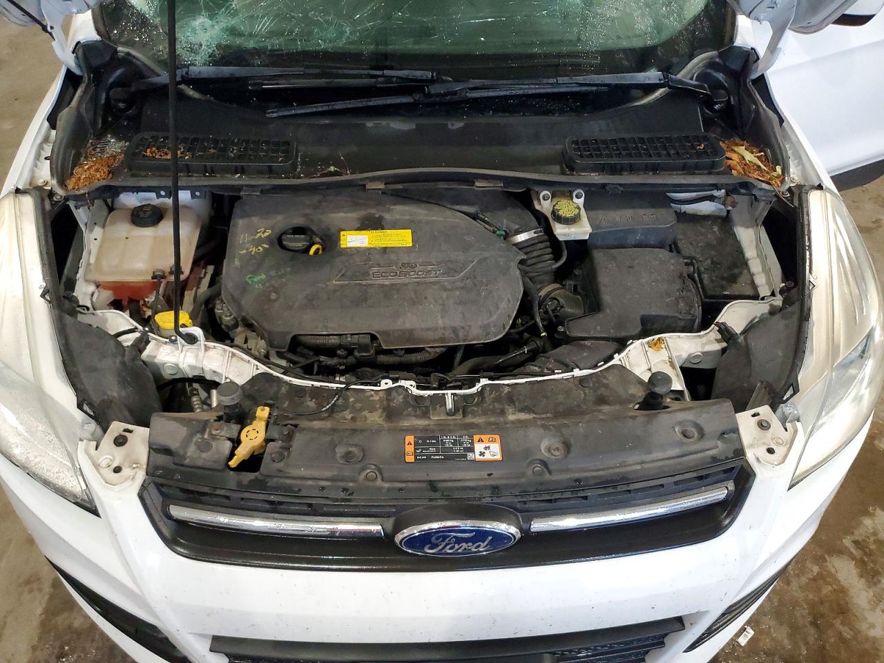 2016 FORD ESCAPE SE photo 11