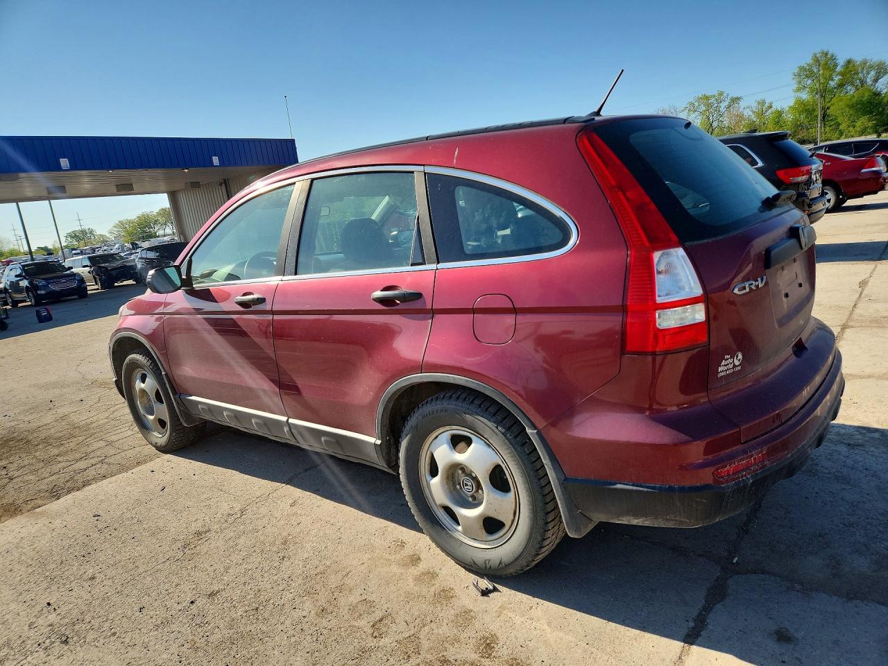 2010 HONDA CR-V LX photo 3