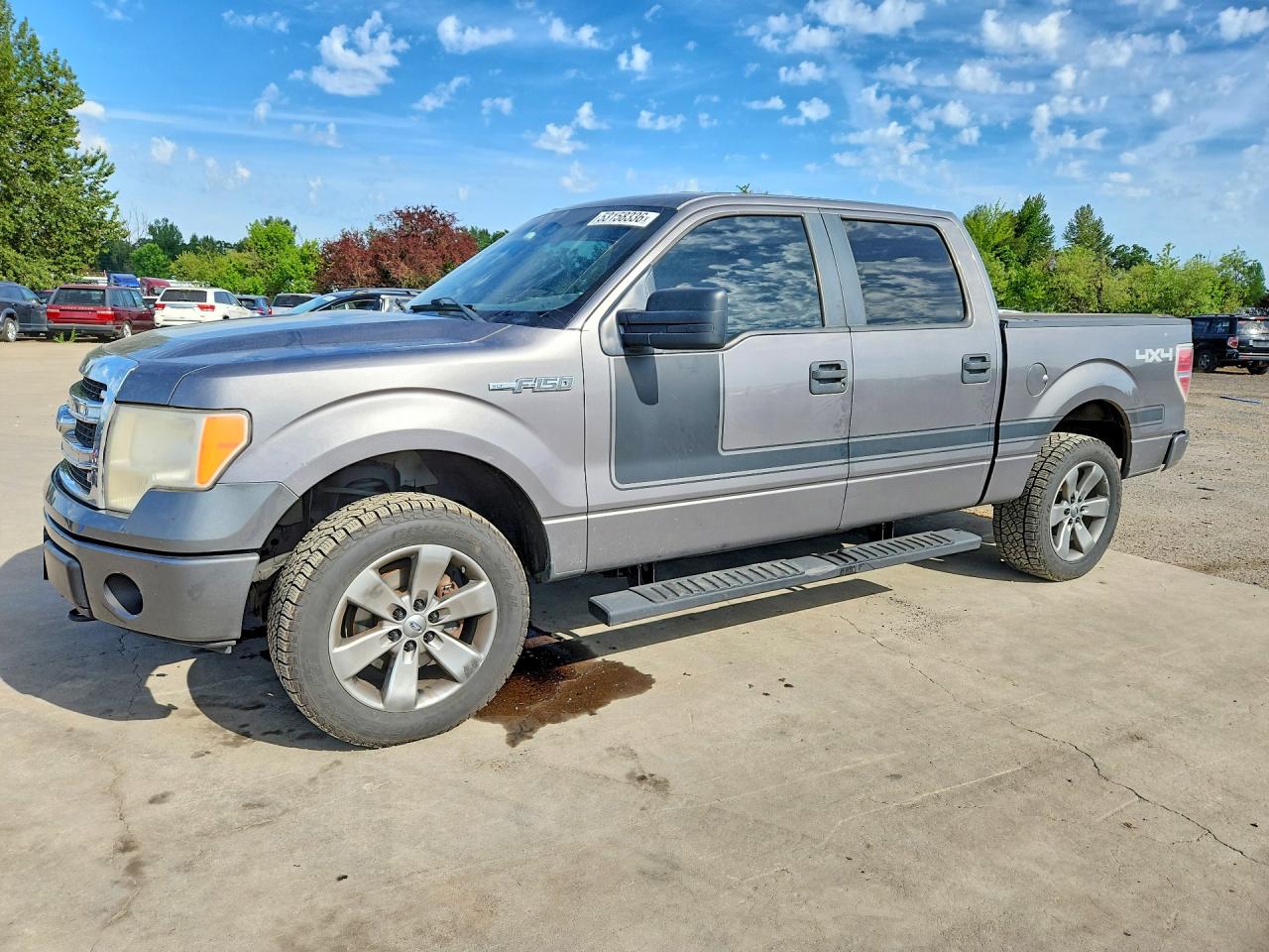 2013 FORD F150