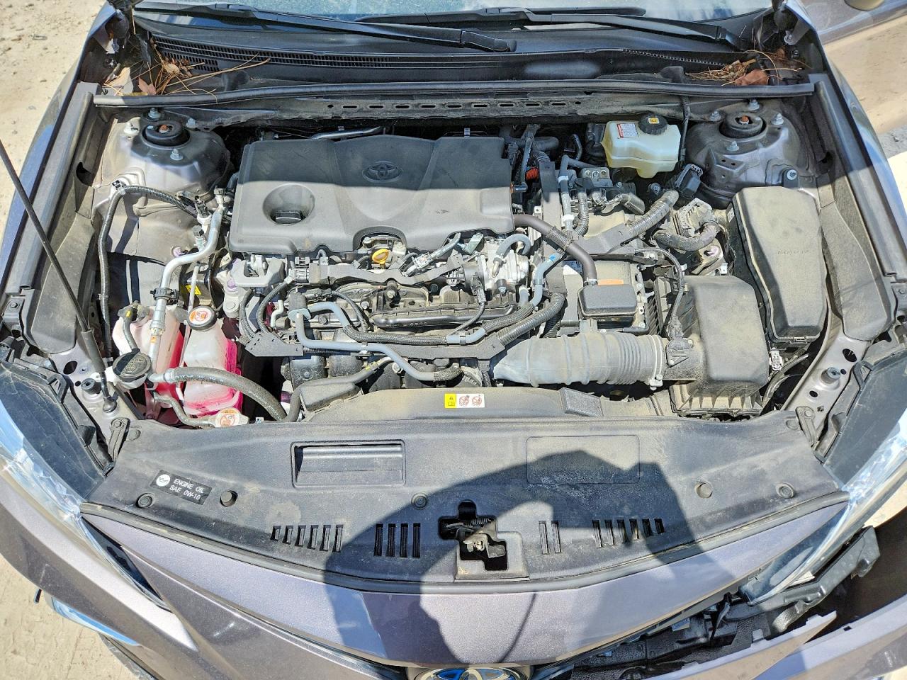 2023 TOYOTA CAMRY XLE photo 11
