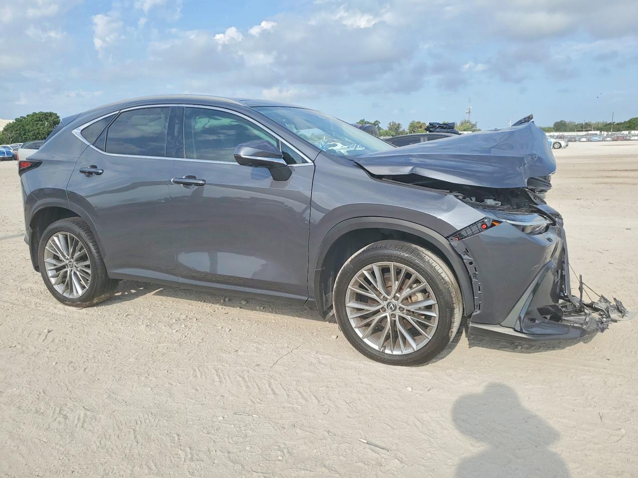 2024 LEXUS NX 350 LUXURY photo 7
