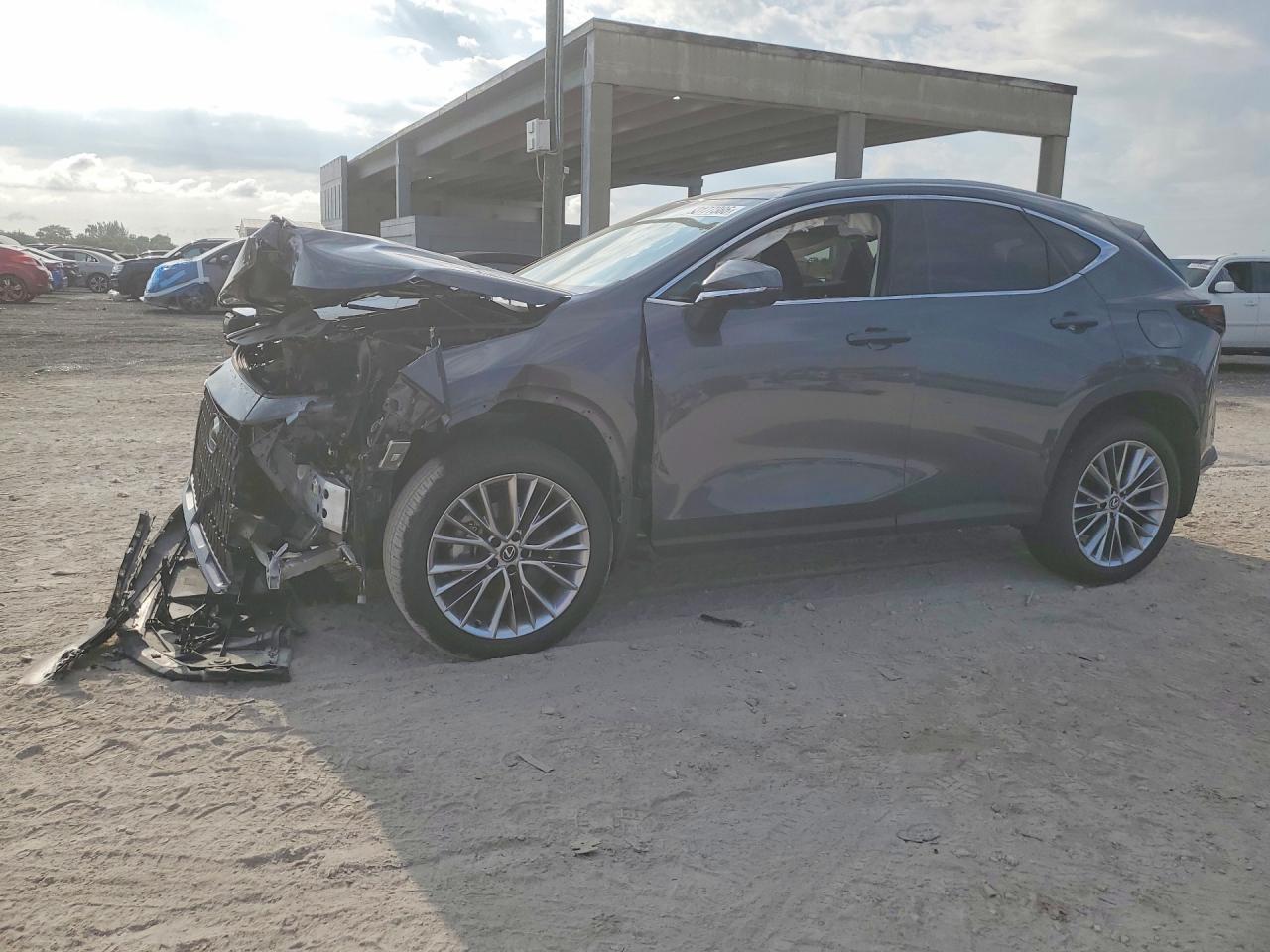 2024 LEXUS NX