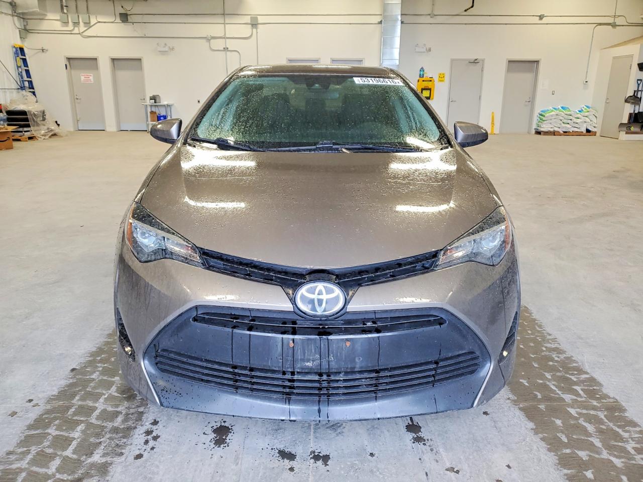 2019 TOYOTA COROLLA L photo 5