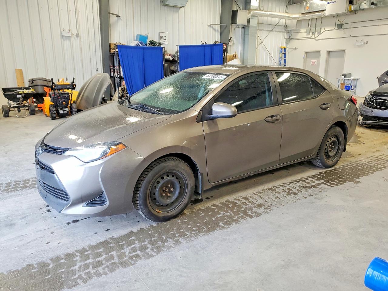 2019 TOYOTA COROLLA
