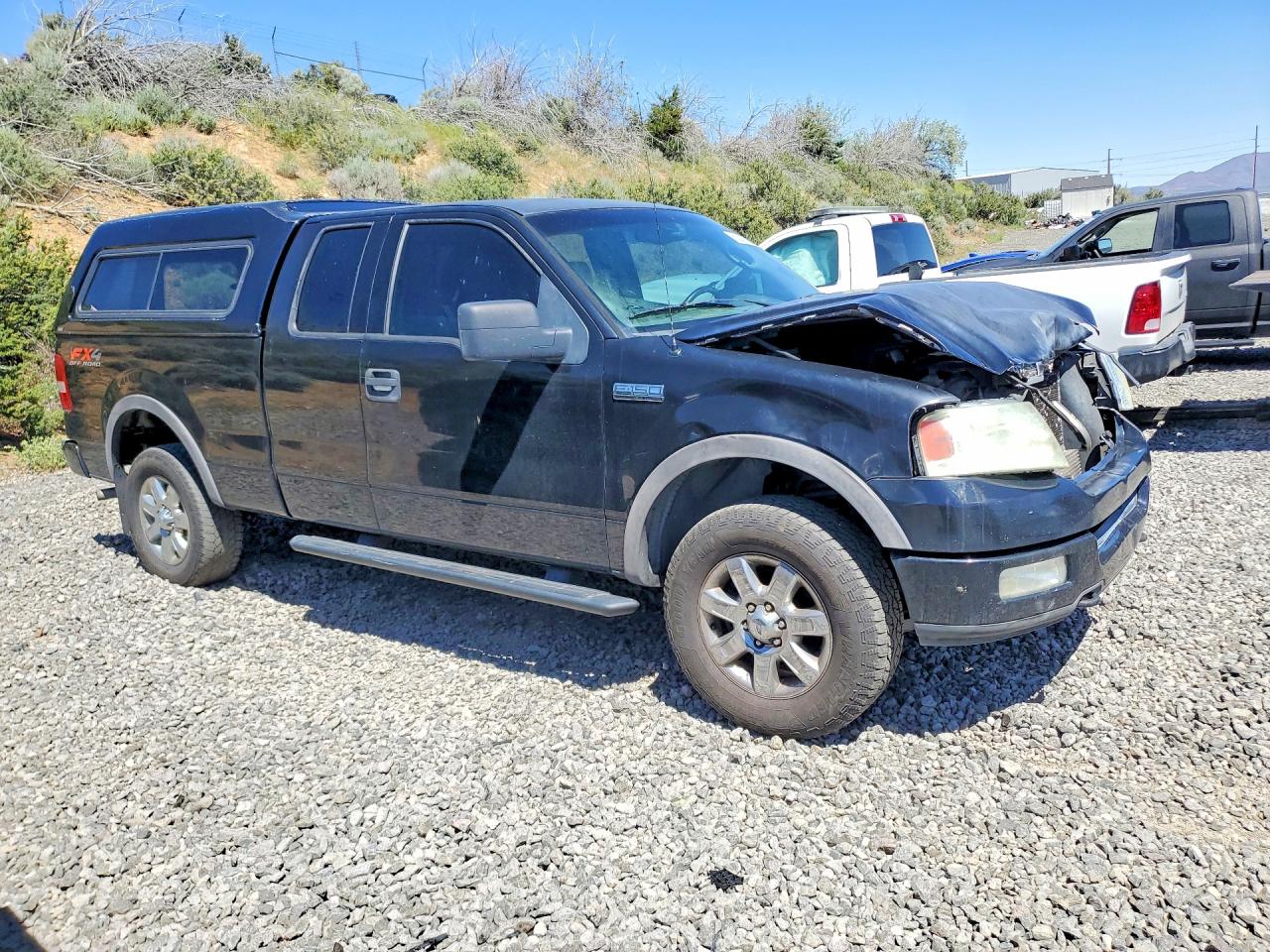 2004 FORD F150 photo 10