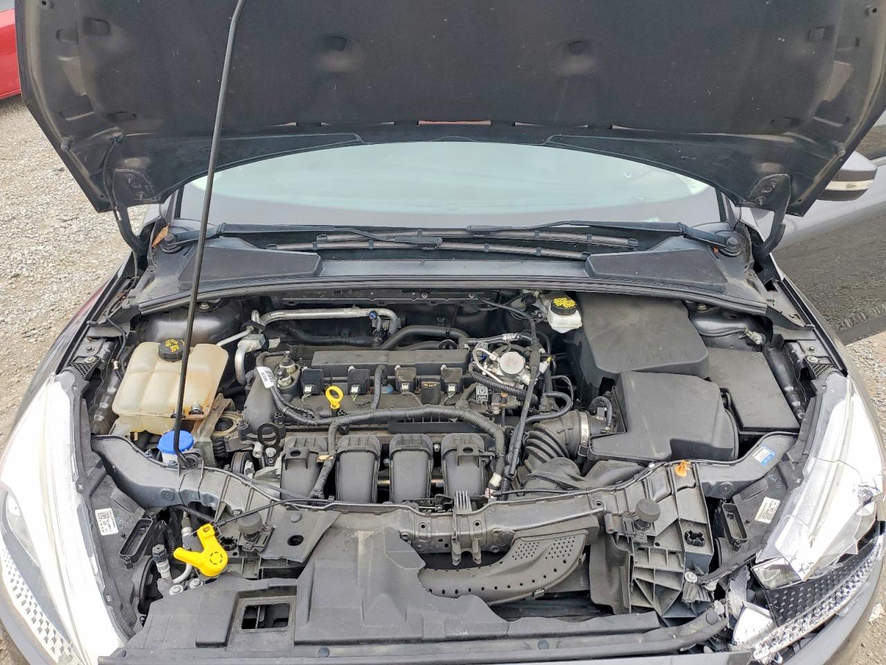 2017 FORD FOCUS SE photo 11