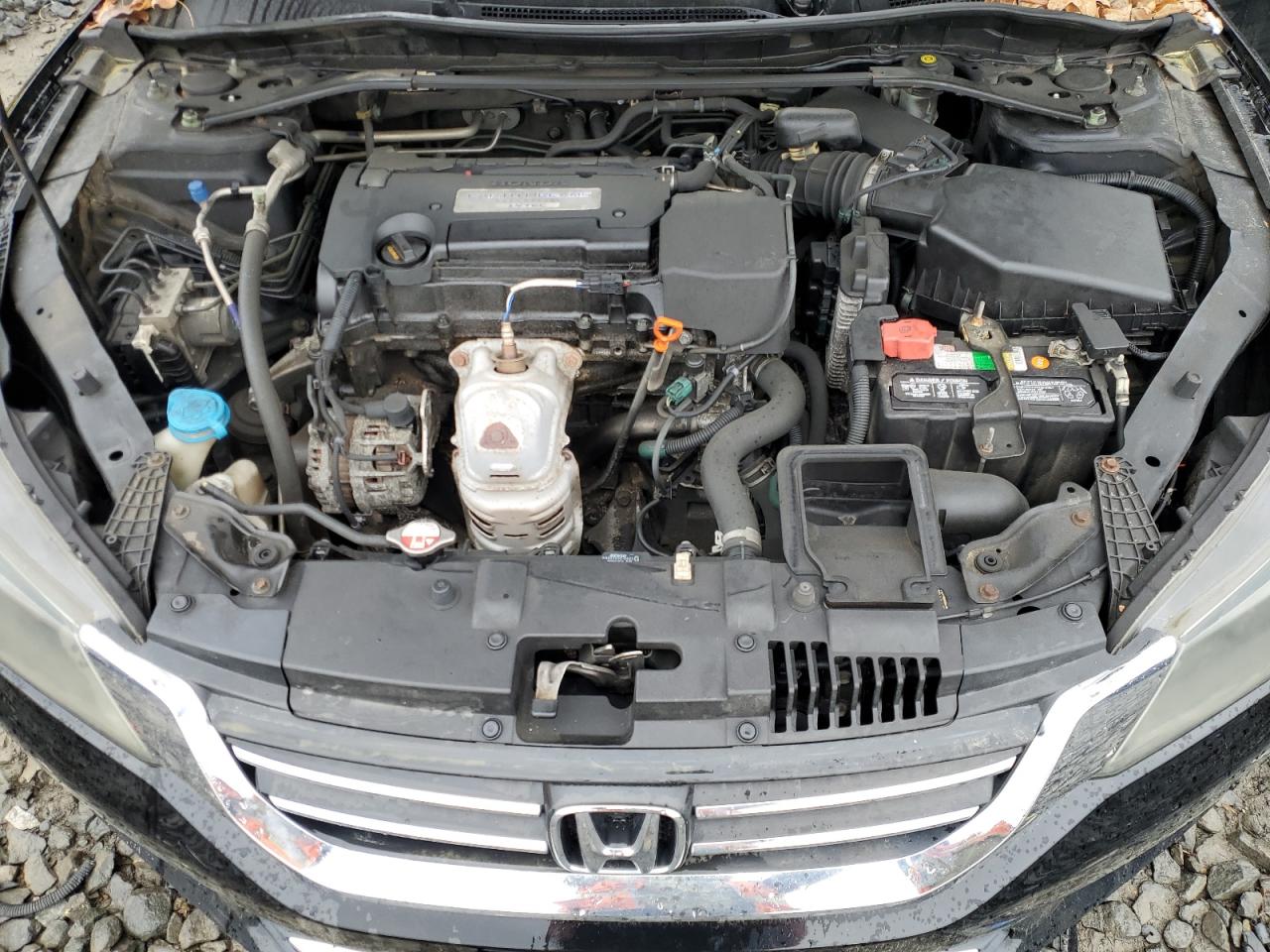 2014 HONDA ACCORD EXL photo 11