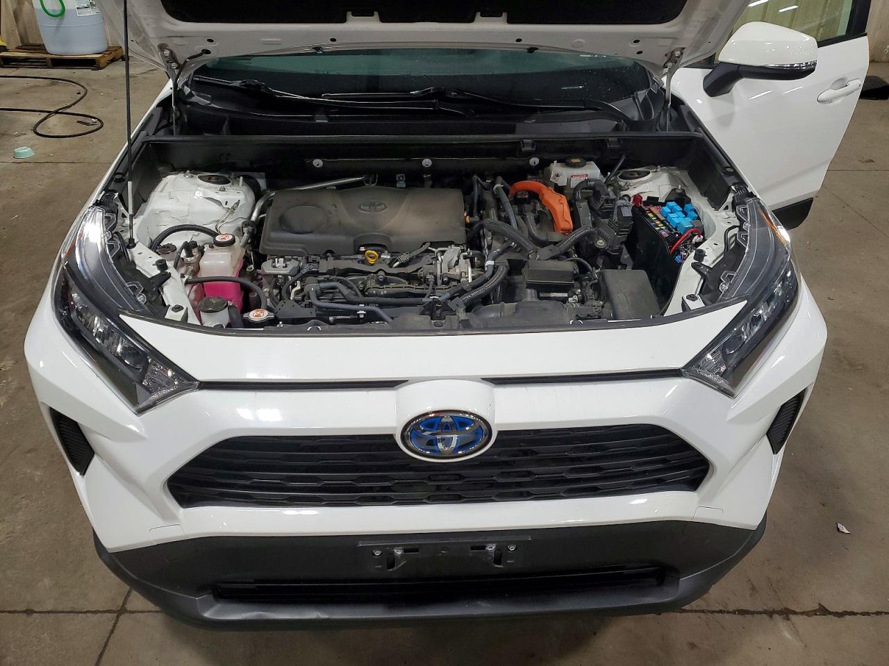 2019 TOYOTA RAV4 LE photo 21
