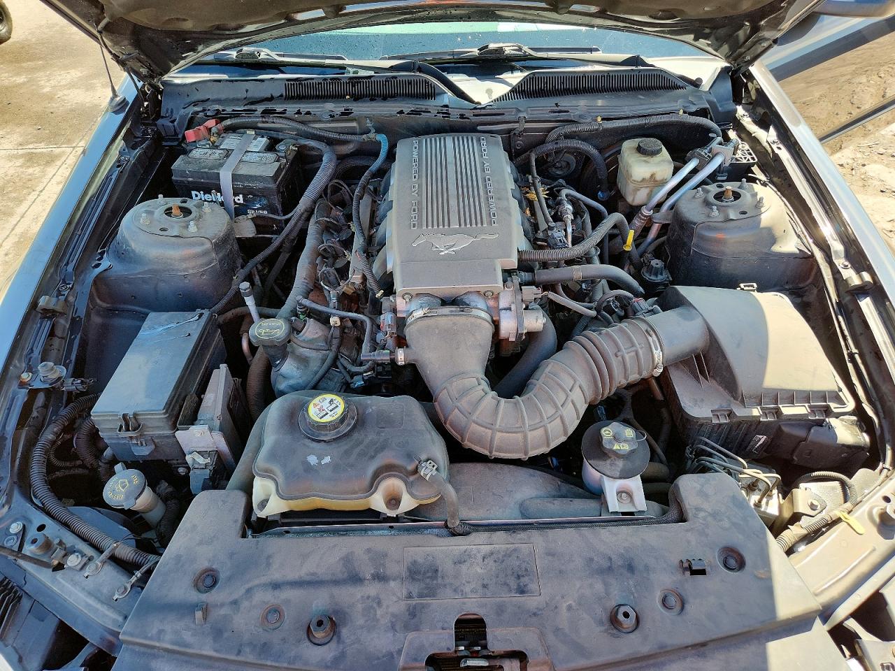 2008 FORD MUSTANG GT photo 11