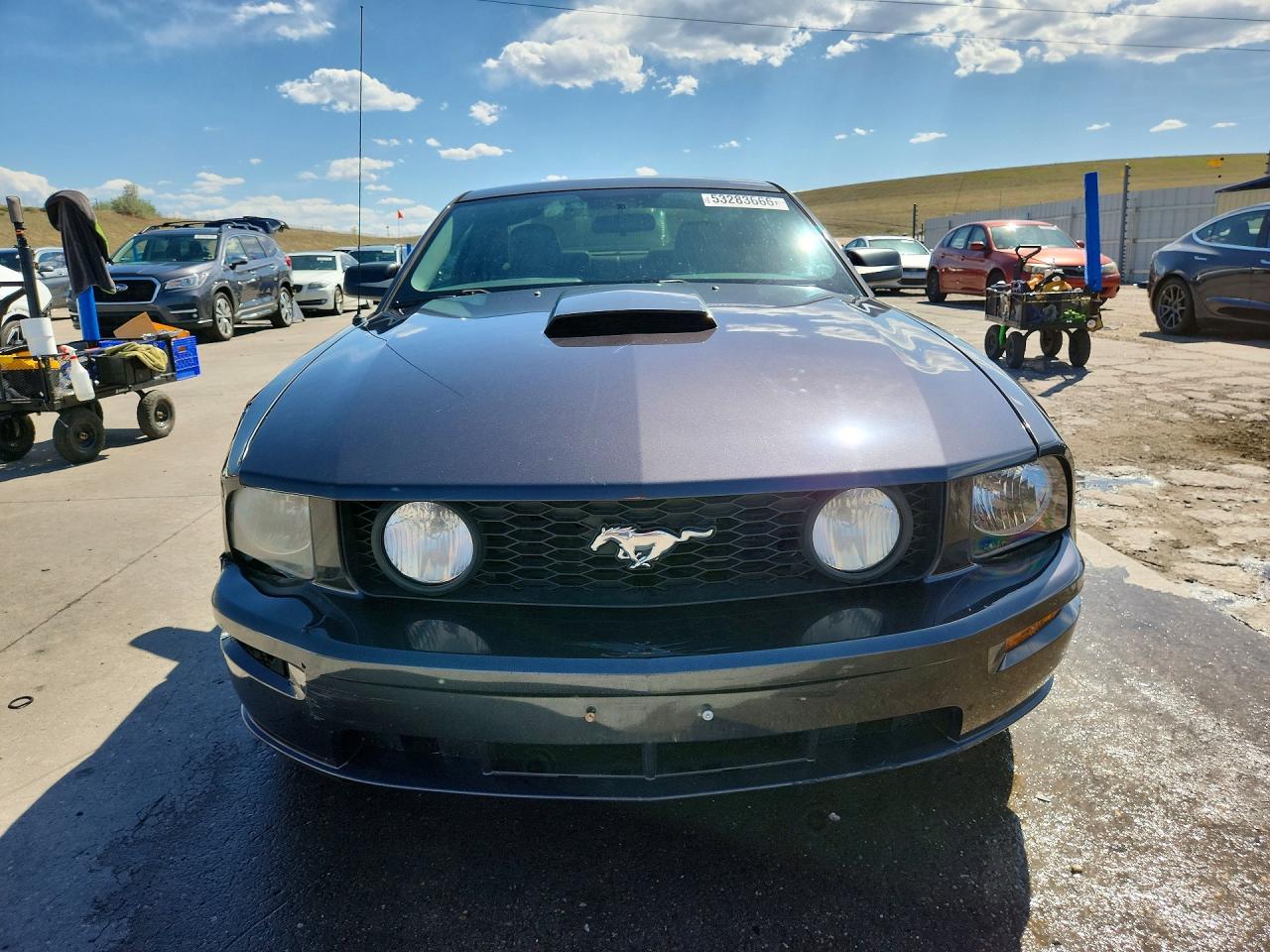 2008 FORD MUSTANG GT photo 5